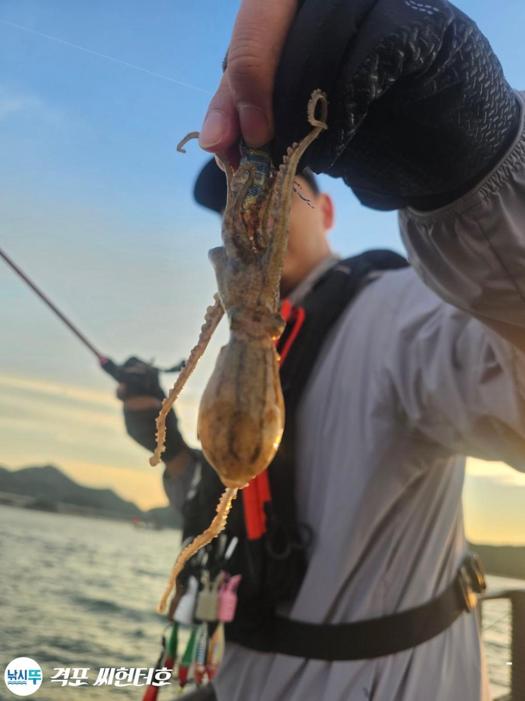 낚시뚜,쭈꾸미,갑오징어,격포,격포 씨헌터호,낚시뚜11