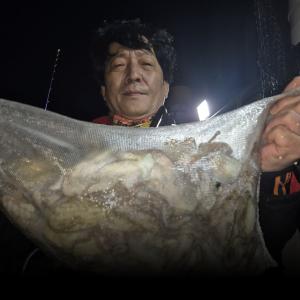 조황, 2일 야간 돌문어 조황 입니다
