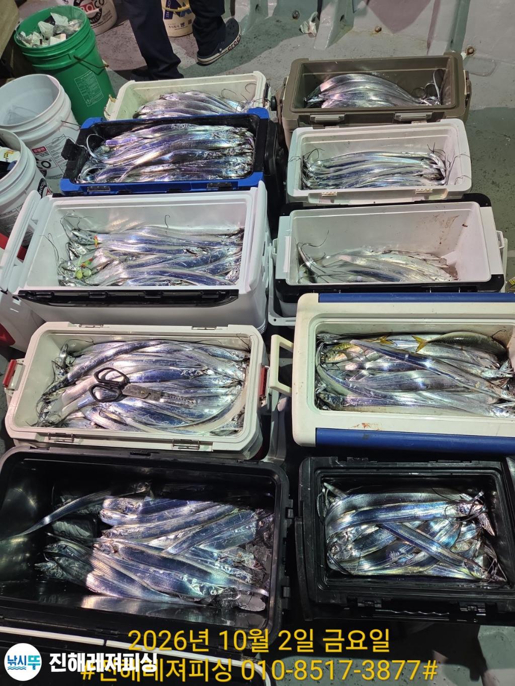 낚시뚜,갈치,진해1부두항,진해레져피싱,낚시뚜23