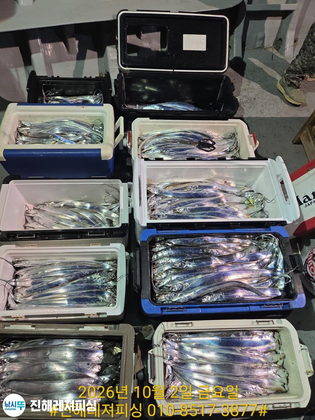 낚시뚜,갈치,진해1부두항,진해레져피싱,낚시뚜22