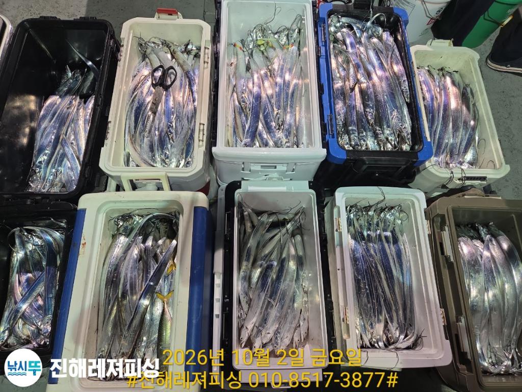 낚시뚜,갈치,진해1부두항,진해레져피싱,낚시뚜21