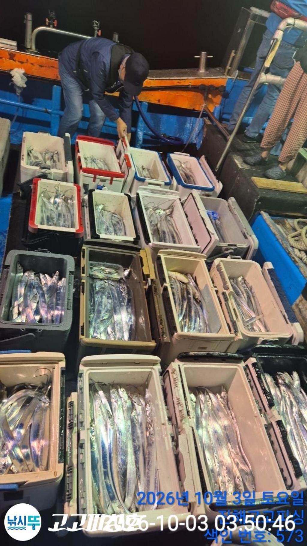 낚시뚜,,속천항(진해),고고피싱호,낚시뚜8