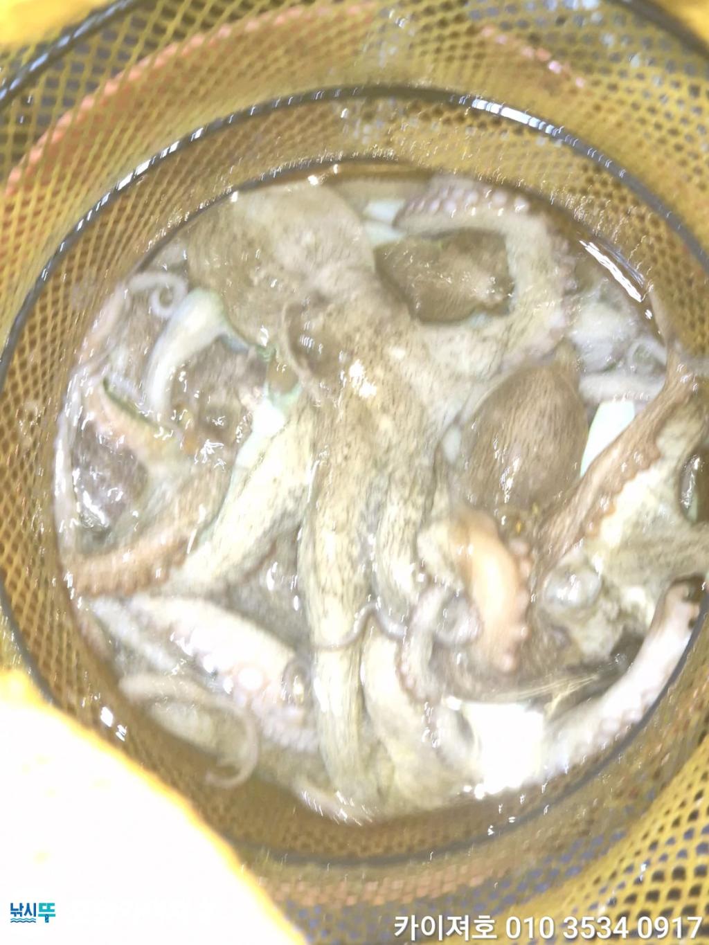 낚시뚜,기타 (직접입력),영일만항,포항카이져호,낚시뚜47