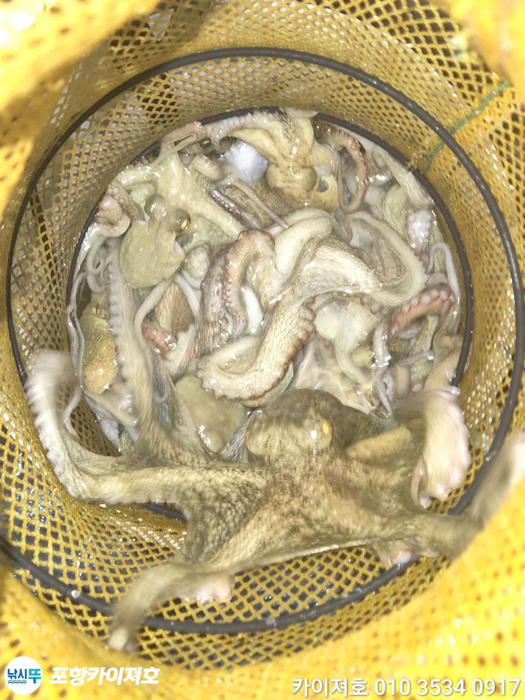 낚시뚜,기타 (직접입력),영일만항,포항카이져호,낚시뚜32