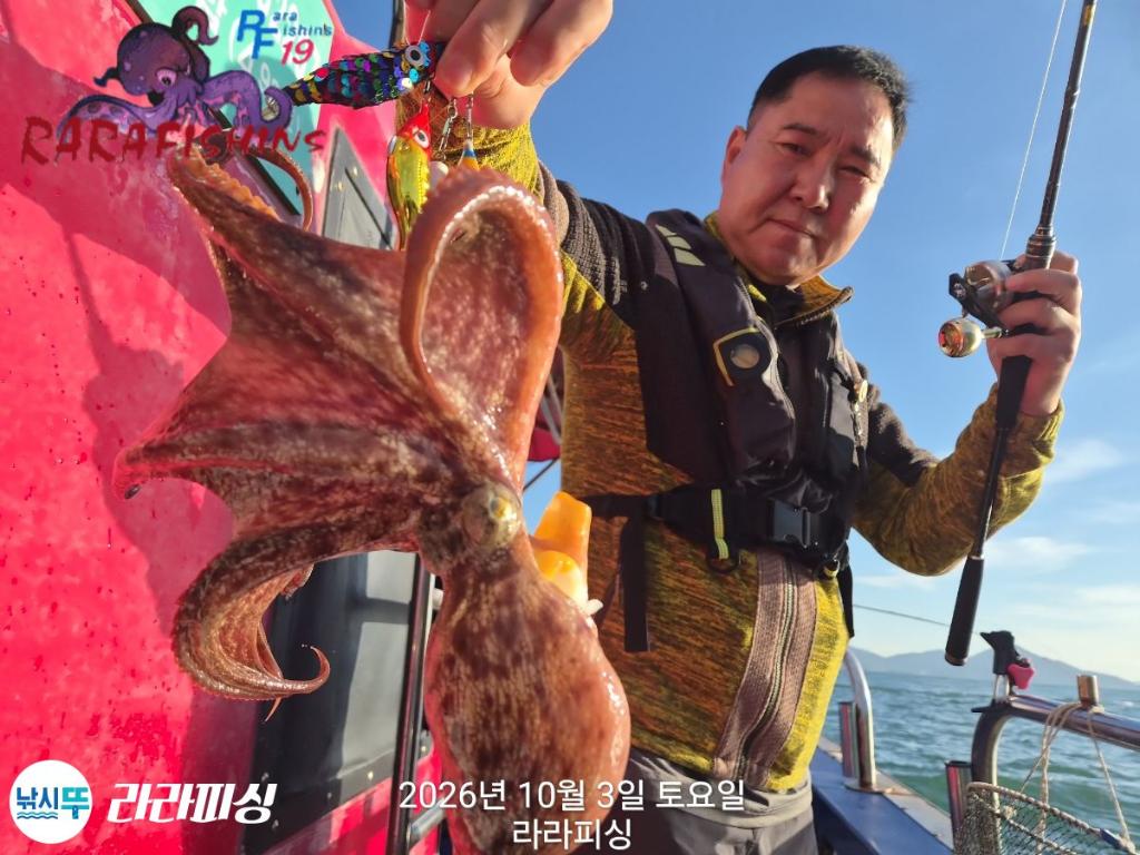 낚시뚜,돌문어,속천항(진해),라라피싱,낚시뚜12