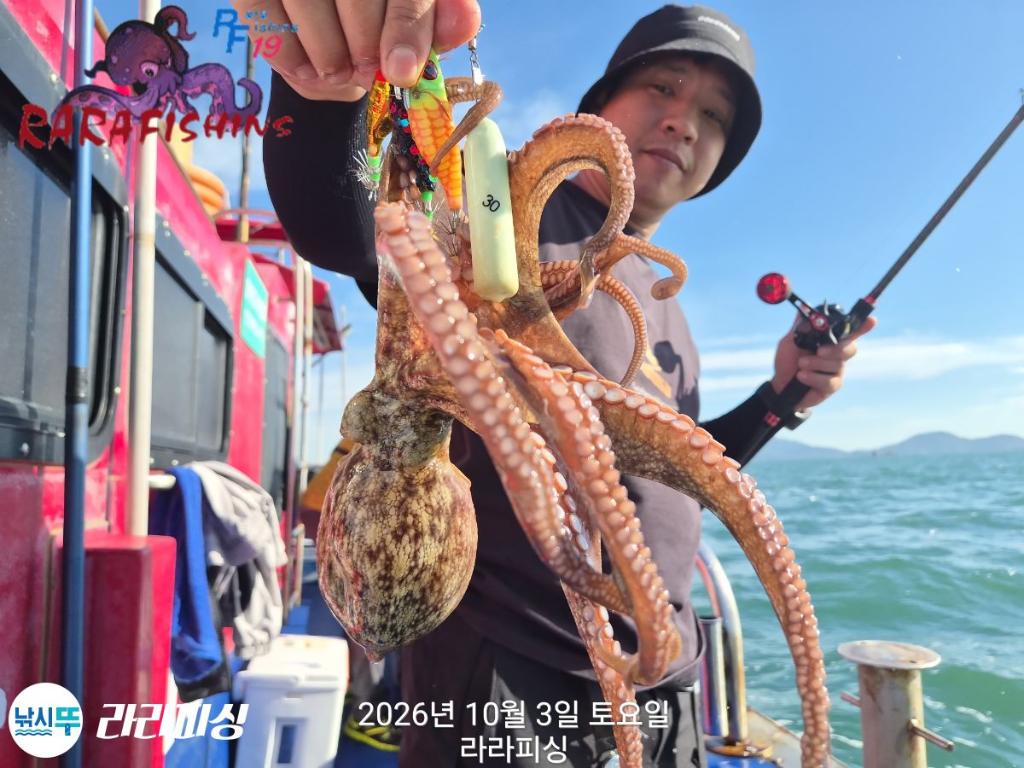 낚시뚜,돌문어,속천항(진해),라라피싱,낚시뚜9