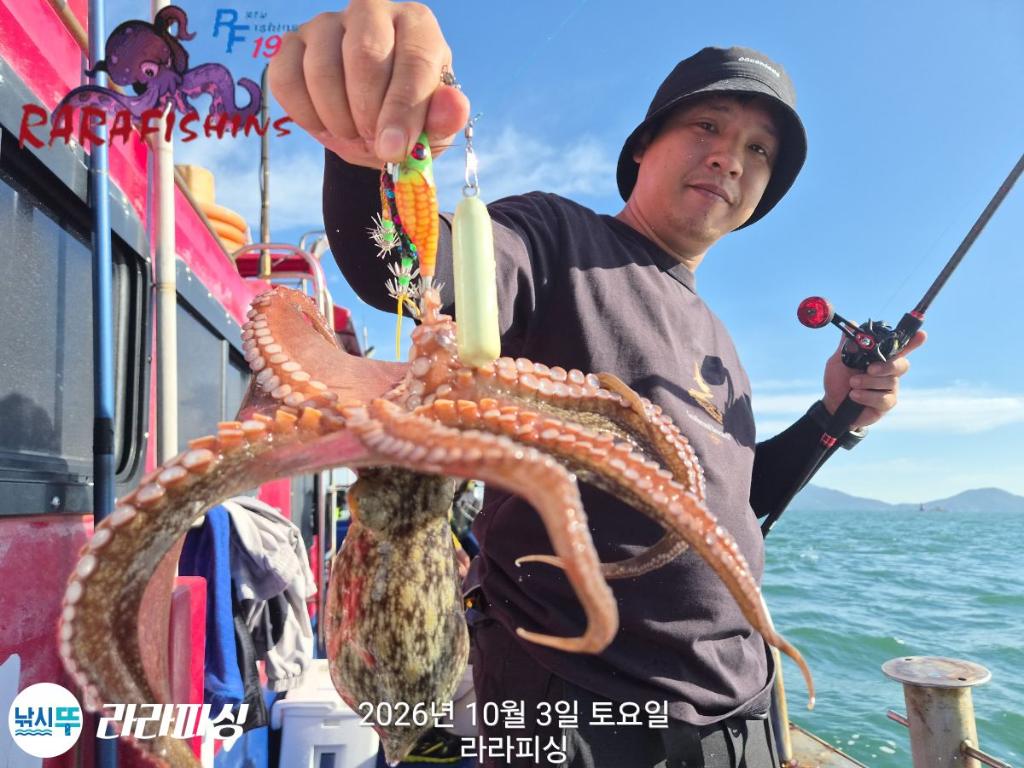 낚시뚜,돌문어,속천항(진해),라라피싱,낚시뚜8