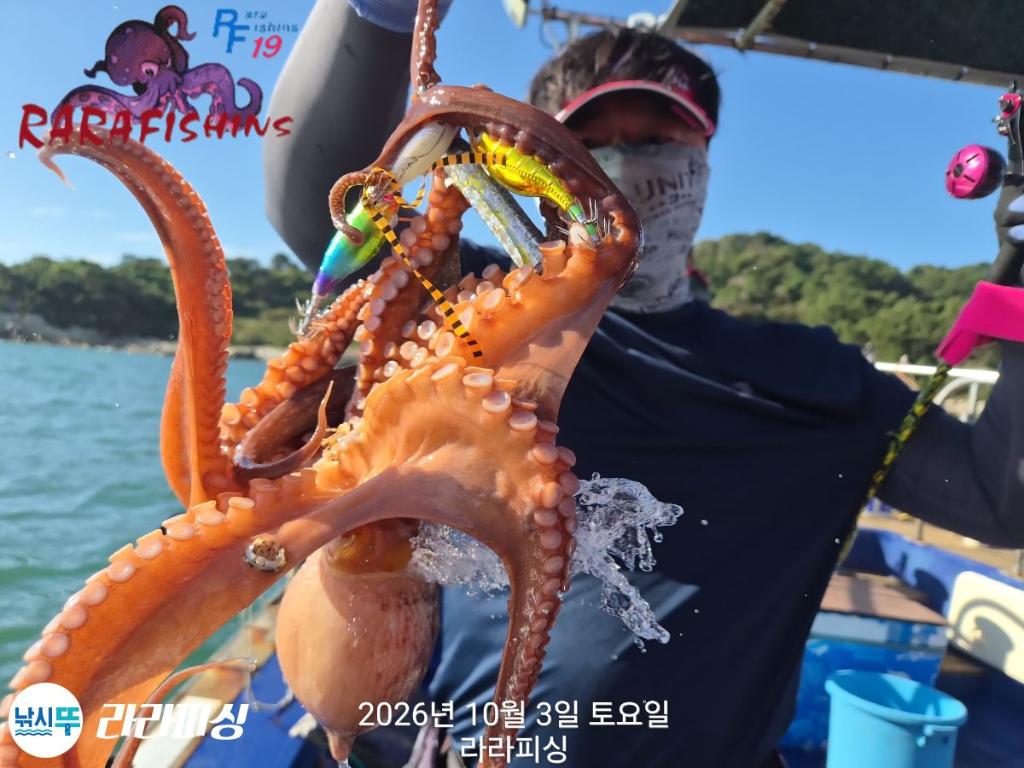 낚시뚜,돌문어,속천항(진해),라라피싱,낚시뚜7