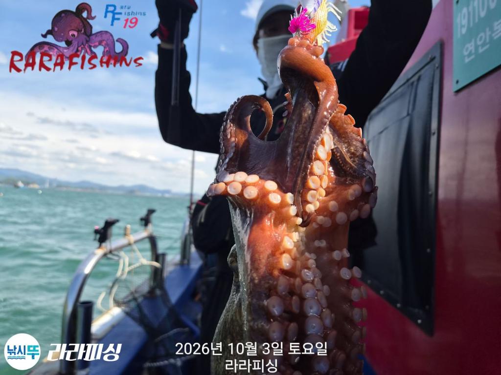 낚시뚜,돌문어,속천항(진해),라라피싱,낚시뚜6