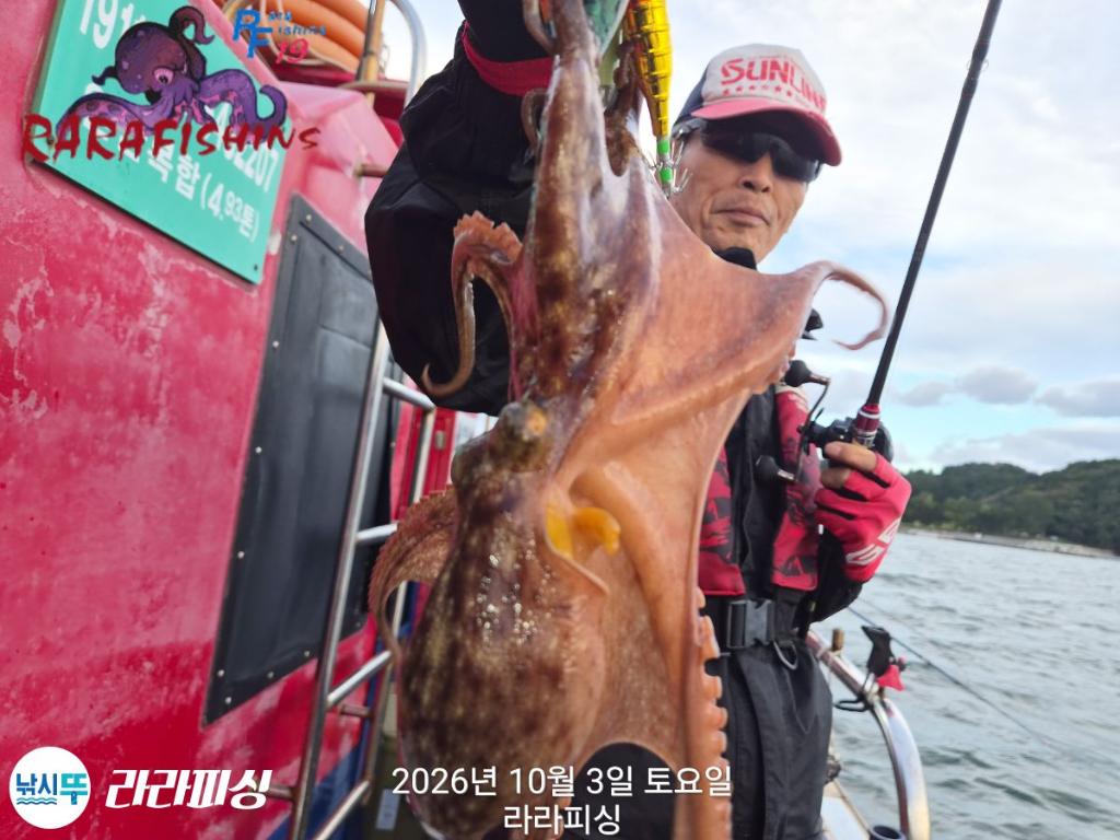 낚시뚜,돌문어,속천항(진해),라라피싱,낚시뚜5
