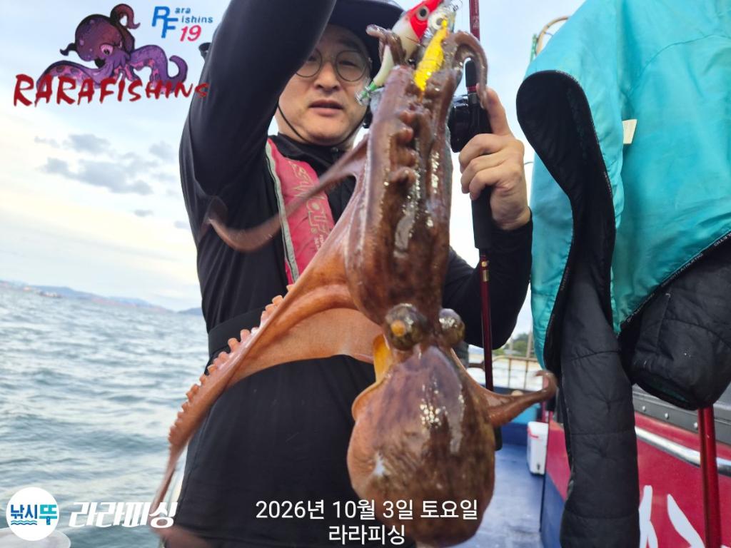 낚시뚜,돌문어,속천항(진해),라라피싱,낚시뚜4