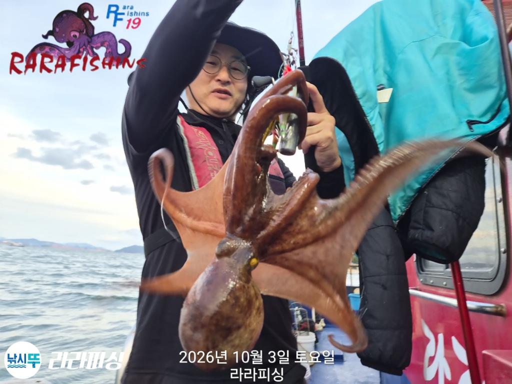 낚시뚜,돌문어,속천항(진해),라라피싱,낚시뚜3