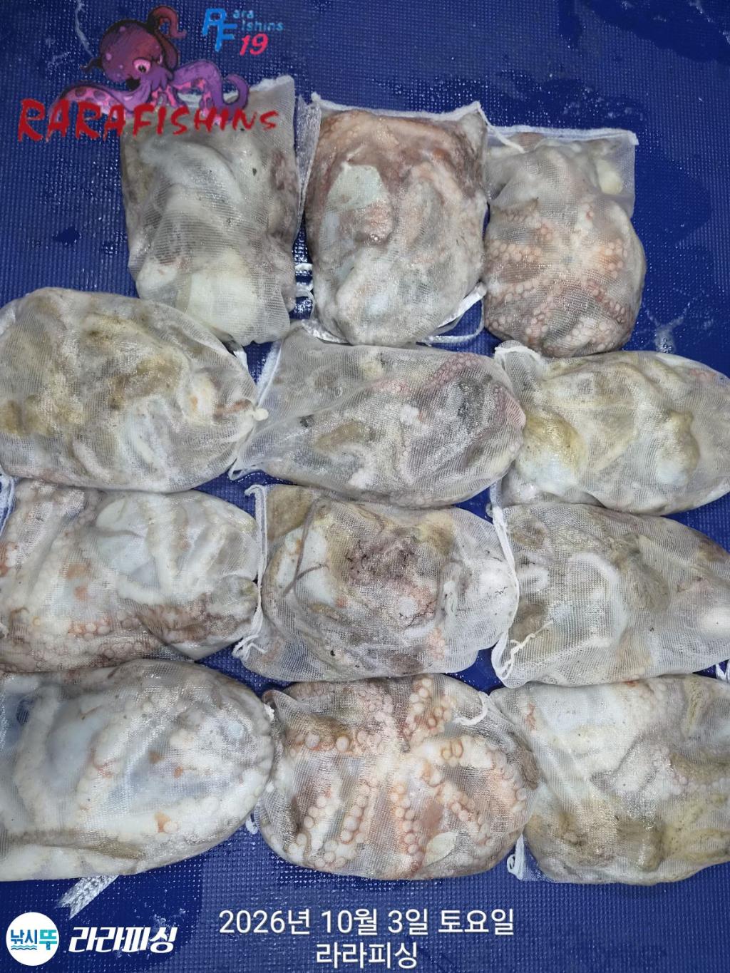 낚시뚜,돌문어,속천항(진해),라라피싱,낚시뚜1