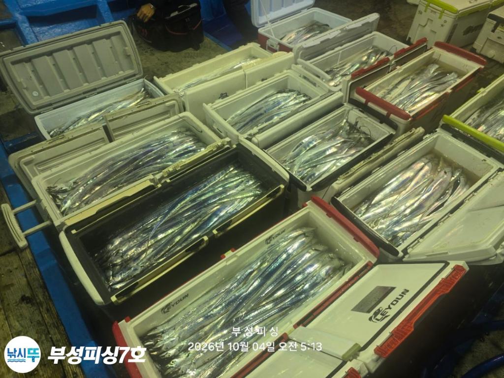 낚시뚜,갈치,통영영운리항,부성피싱7호,낚시뚜28