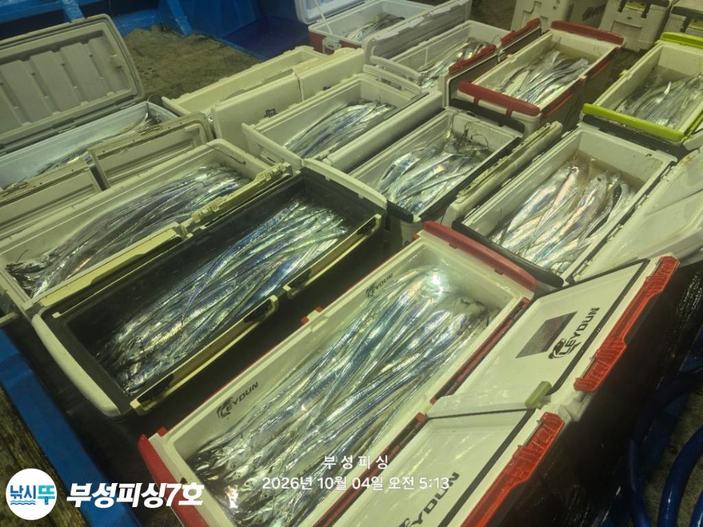 낚시뚜,갈치,통영영운리항,부성피싱7호,낚시뚜2