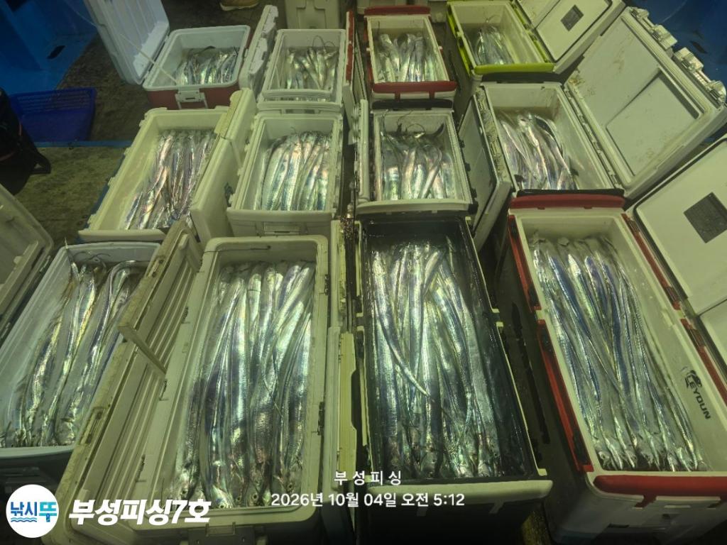 낚시뚜,갈치,통영영운리항,부성피싱7호,낚시뚜0