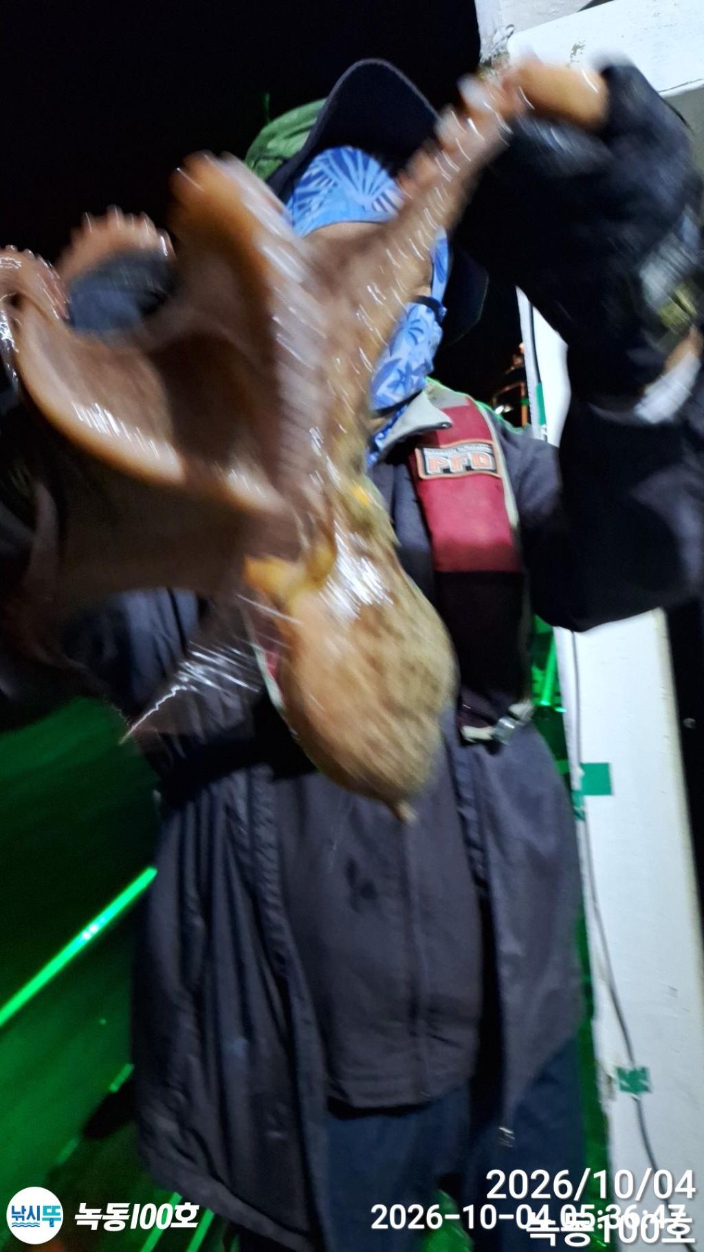 낚시뚜,돌문어,녹동항,녹동100호,낚시뚜7