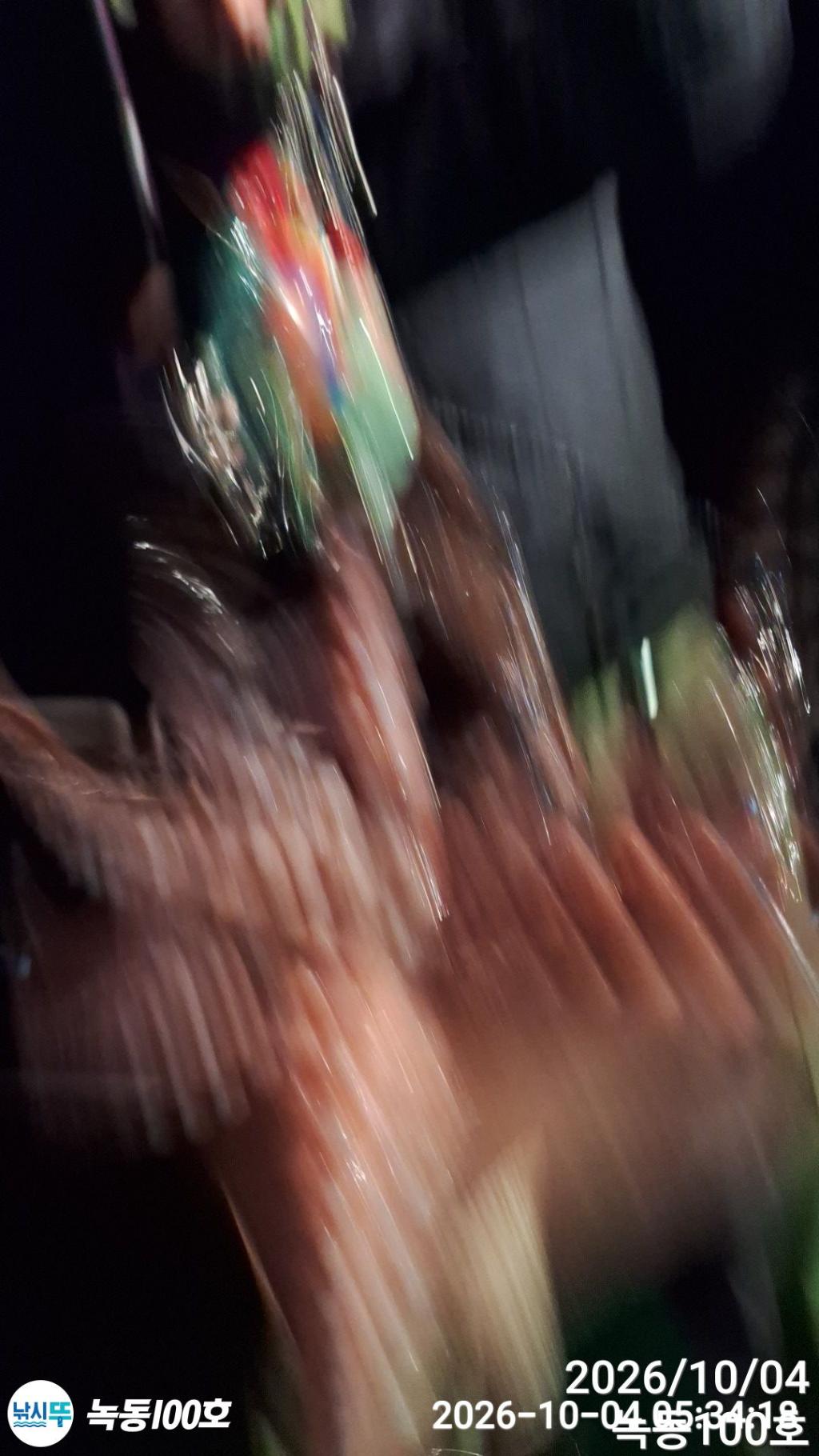 낚시뚜,돌문어,녹동항,녹동100호,낚시뚜6