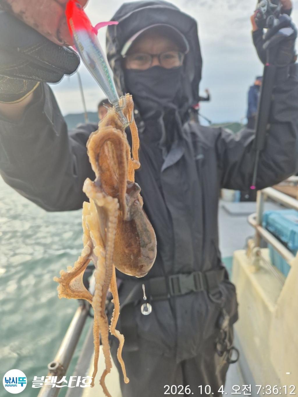 낚시뚜,돌문어,쭈꾸미,삼천포 팔포항,삼천포 블랙스타,낚시뚜8