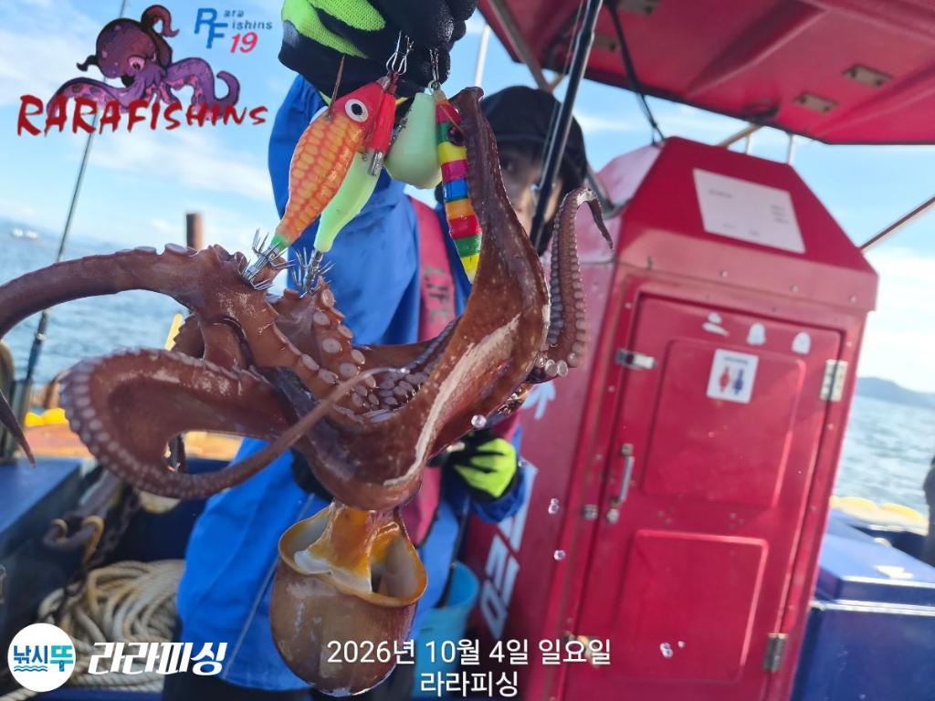 낚시뚜,돌문어,속천항(진해),라라피싱,낚시뚜9