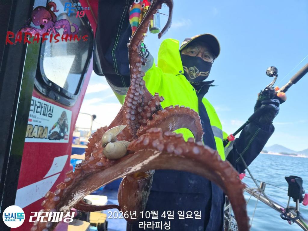 낚시뚜,돌문어,속천항(진해),라라피싱,낚시뚜8