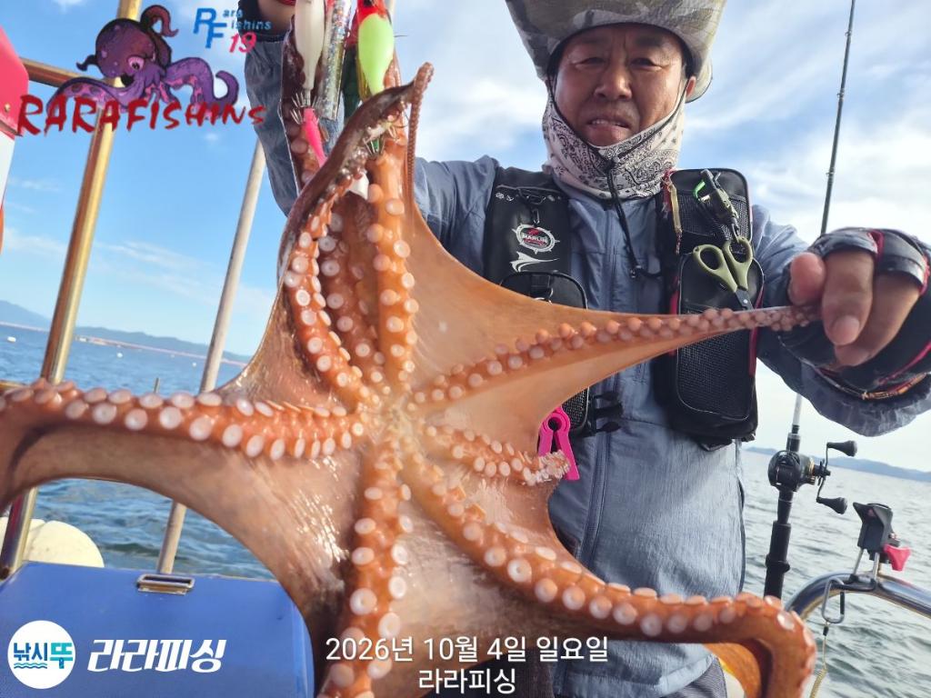 낚시뚜,돌문어,속천항(진해),라라피싱,낚시뚜7