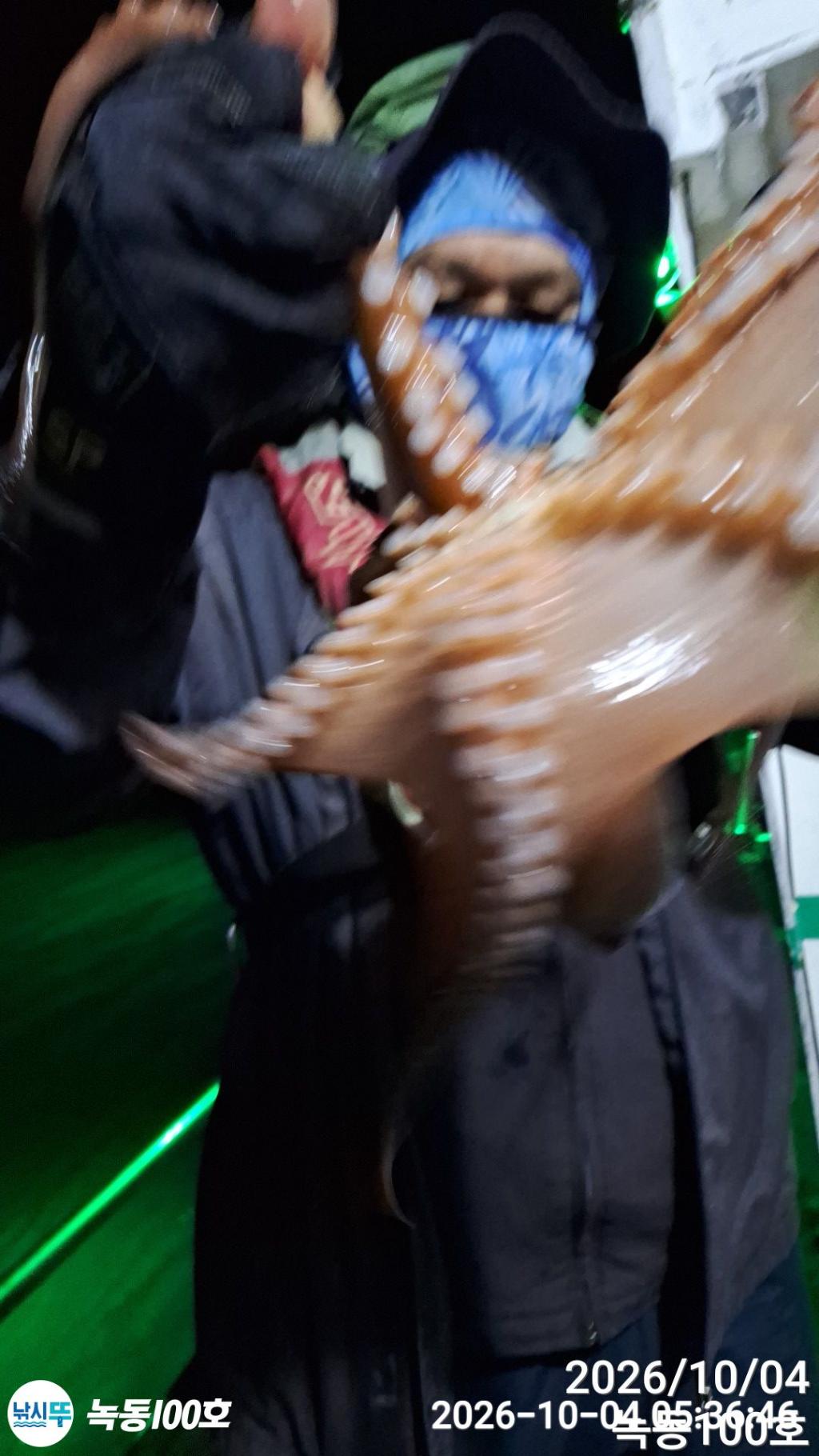 낚시뚜,돌문어,녹동항,녹동100호,낚시뚜19