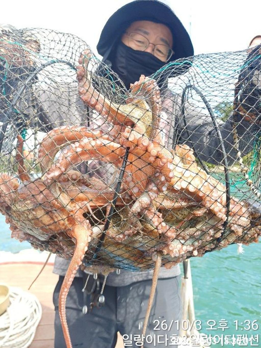 낚시뚜,감성돔,냉천항,일랑이다호,낚시뚜3