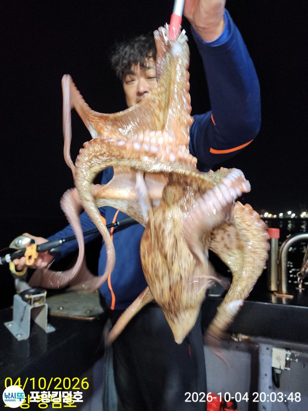 낚시뚜,돌문어,영일만항,포항 킹덤호,낚시뚜27