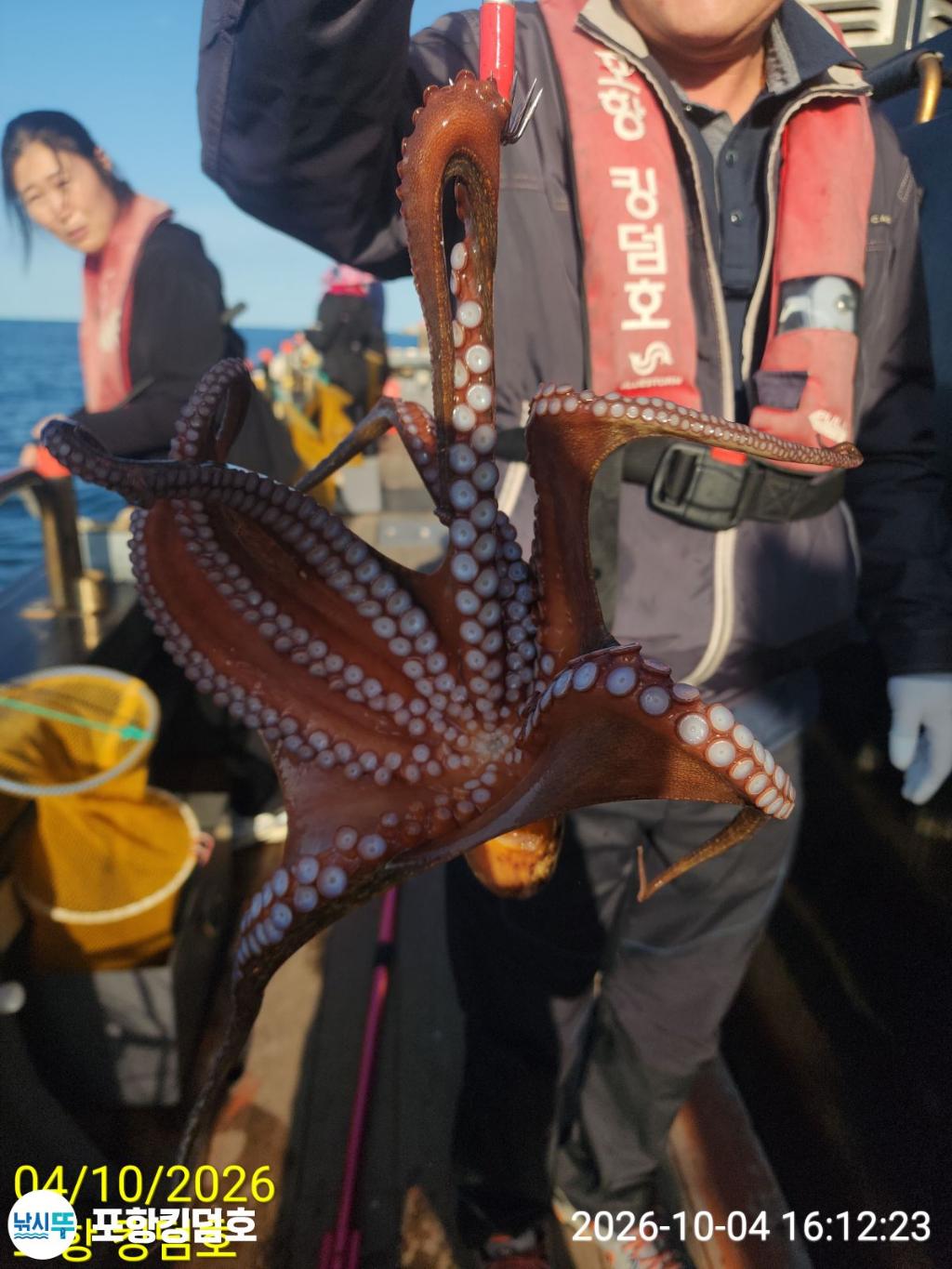 낚시뚜,돌문어,영일만항,포항 킹덤호,낚시뚜4
