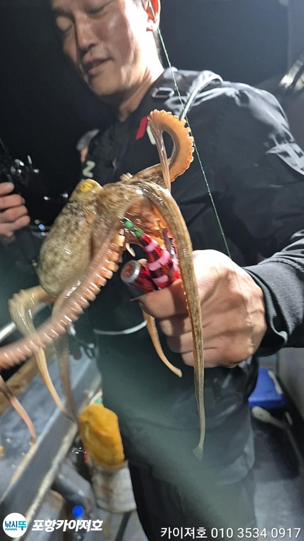 낚시뚜,돌문어,영일만항,포항카이져호,낚시뚜30