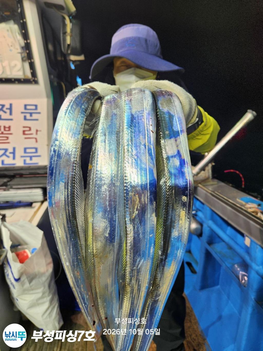 낚시뚜,갈치,통영영운리항,부성피싱7호,낚시뚜5