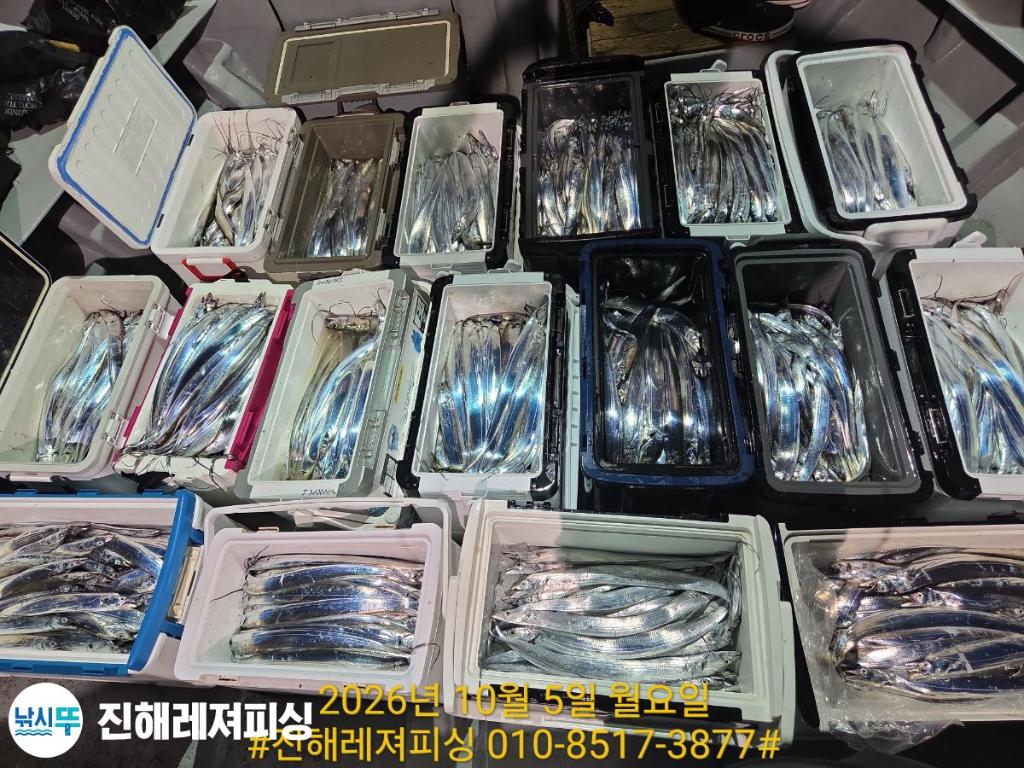 낚시뚜,갈치,진해1부두항,진해레져피싱,낚시뚜24
