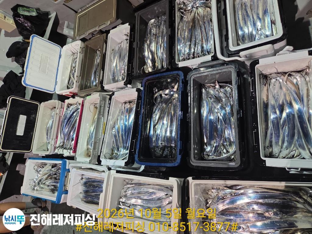 낚시뚜,갈치,진해1부두항,진해레져피싱,낚시뚜21