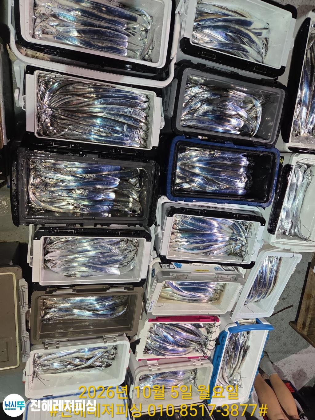낚시뚜,갈치,진해1부두항,진해레져피싱,낚시뚜20