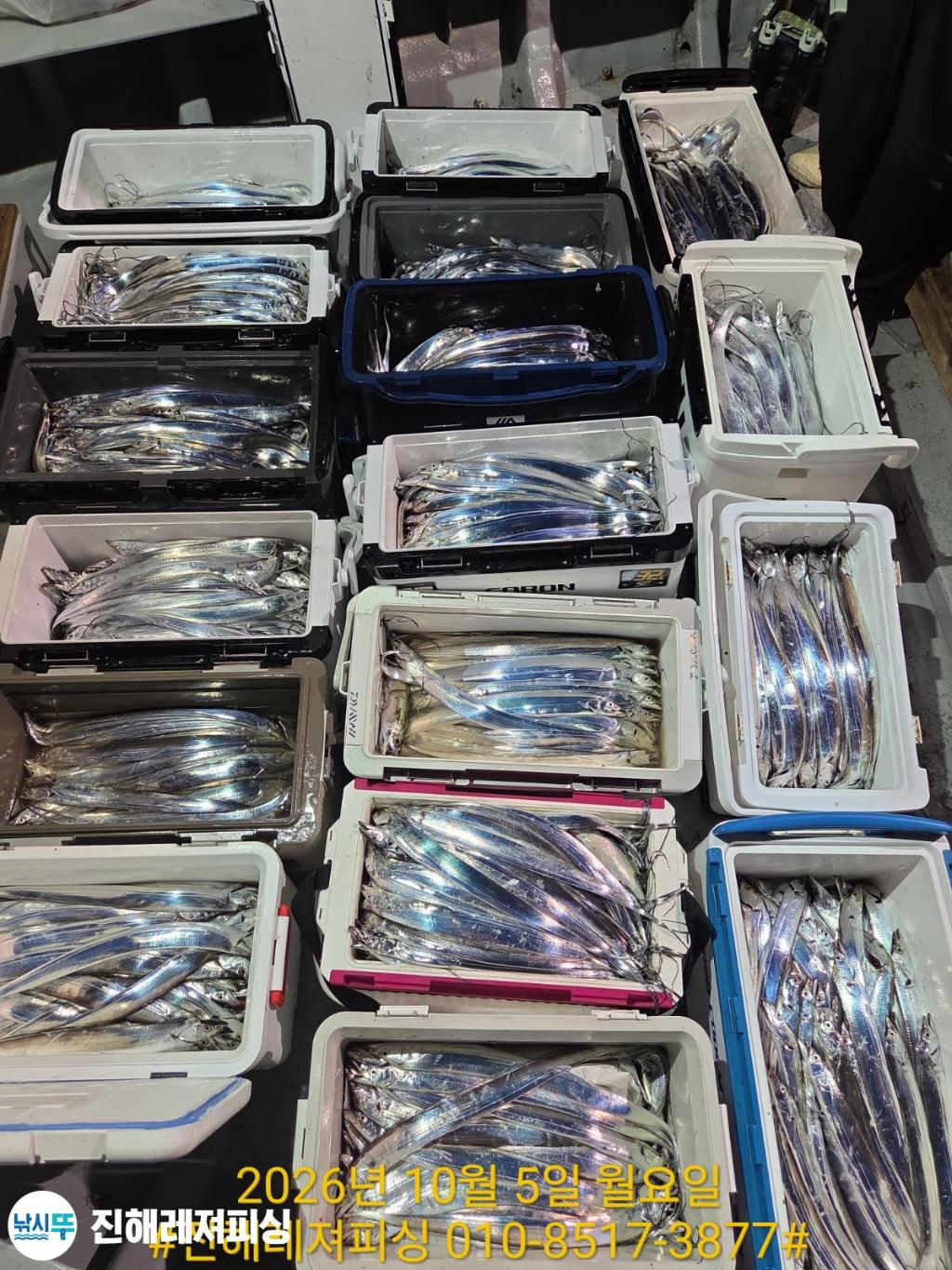 낚시뚜,갈치,진해1부두항,진해레져피싱,낚시뚜19
