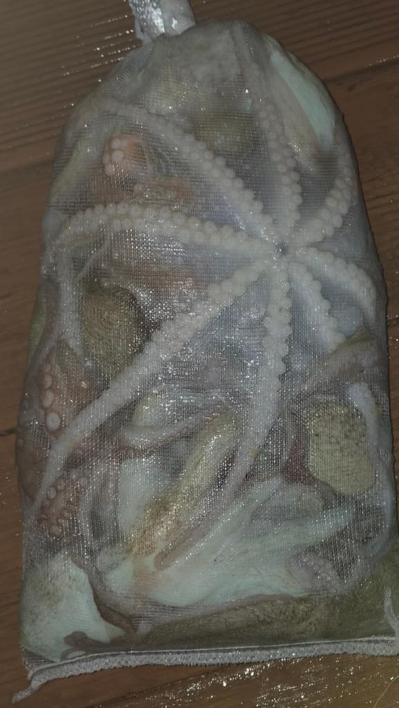 낚시뚜,돌문어,포항여남항,포항포시즌호,낚시뚜5