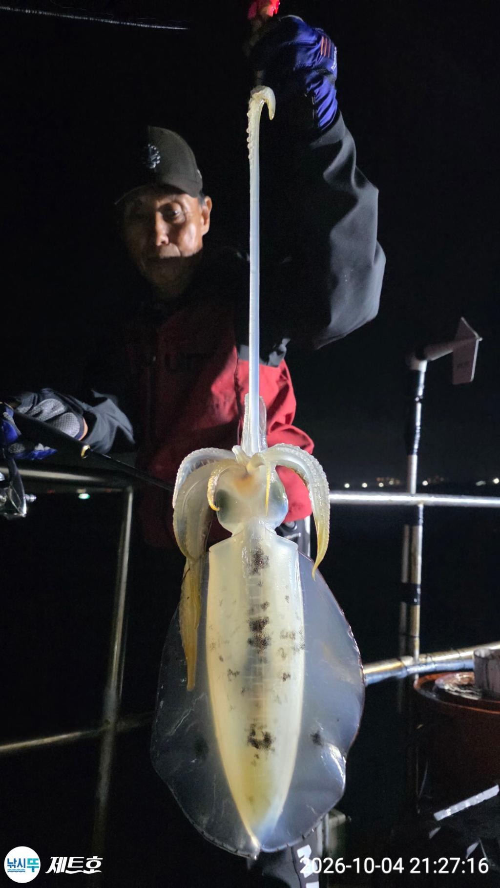 낚시뚜,무늬오징어,영일만항,포항 제트호,낚시뚜9