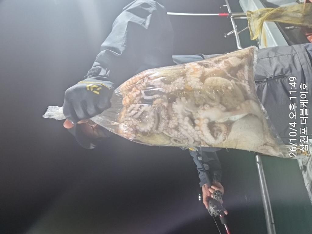 낚시뚜,돌문어,쭈꾸미,삼천포 팔포항,삼천포 더블케이호,낚시뚜25