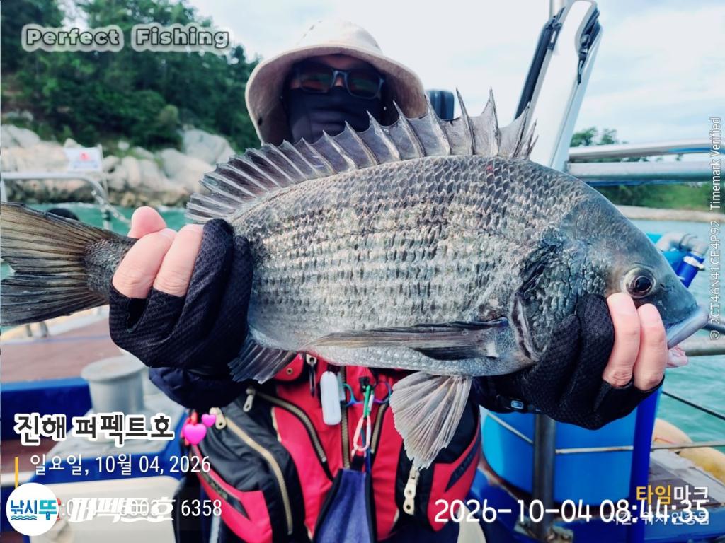 낚시뚜,감성돔,진해 수치마을 방파제,퍼펙트호,낚시뚜1