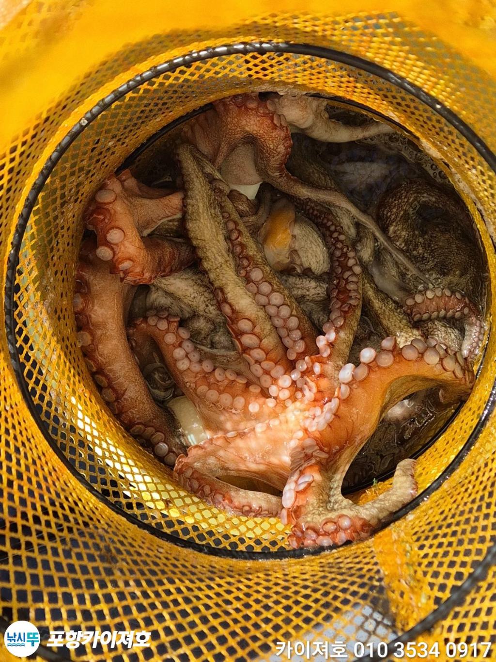 낚시뚜,기타 (직접입력),영일만항,포항카이져호,낚시뚜70