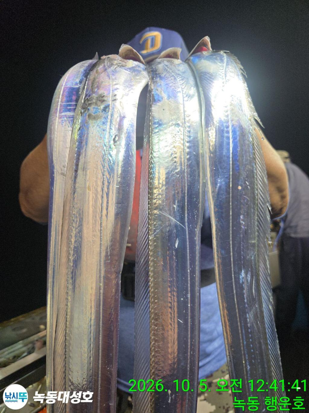 낚시뚜,갈치,녹동항,녹동대성호,낚시뚜15