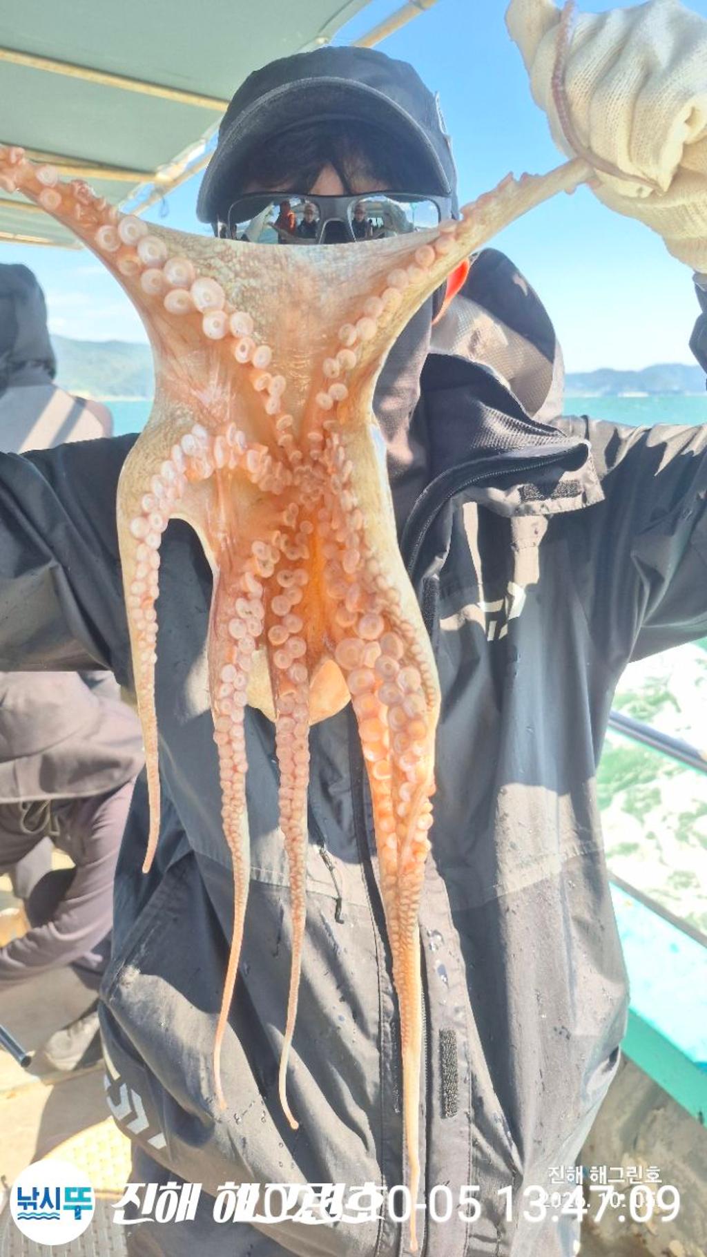낚시뚜,돌문어,삼포항,진해 해그린호,낚시뚜7