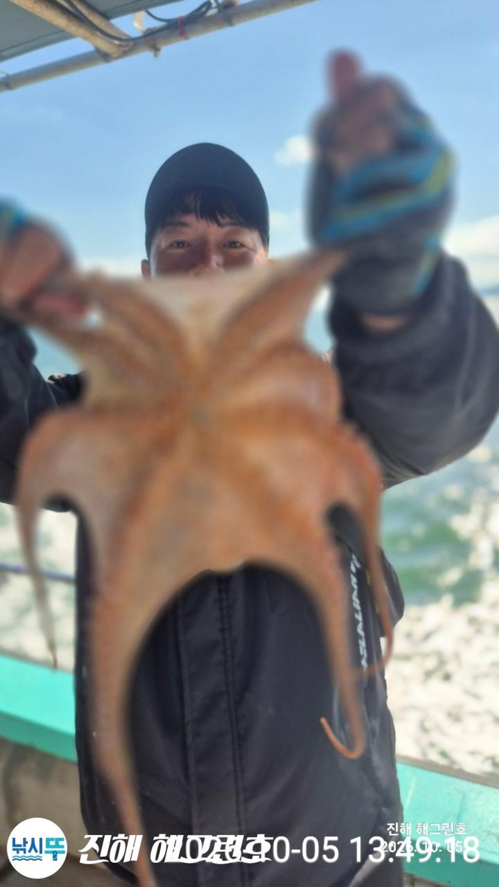 낚시뚜,돌문어,삼포항,진해 해그린호,낚시뚜4