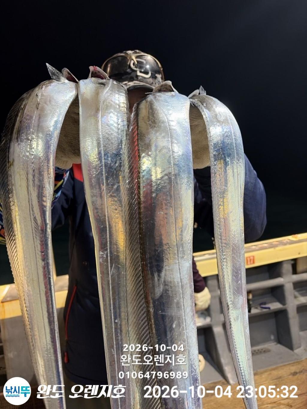 낚시뚜,갈치,완도항,완도 오렌지호,낚시뚜7