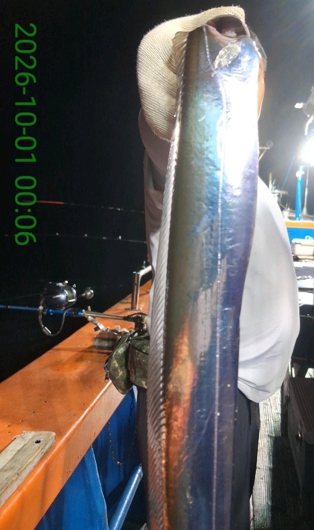 낚시뚜,갈치,삼포항,삼포대교낚시,낚시뚜5