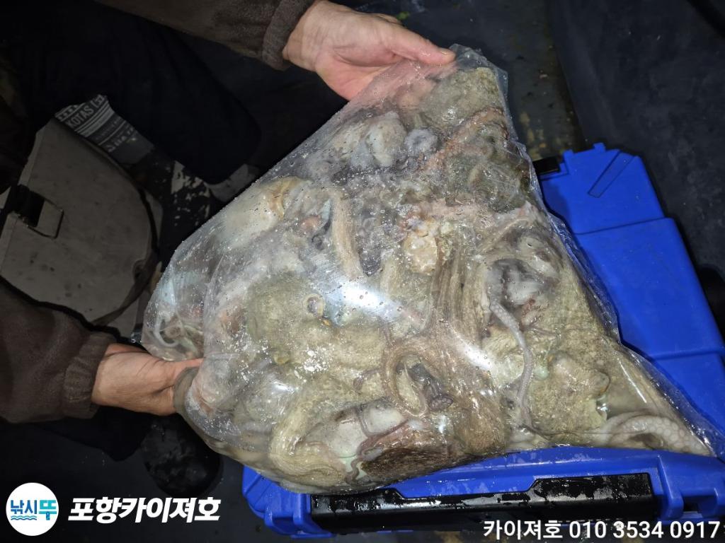 낚시뚜,기타 (직접입력),영일만항,포항카이져호,낚시뚜15