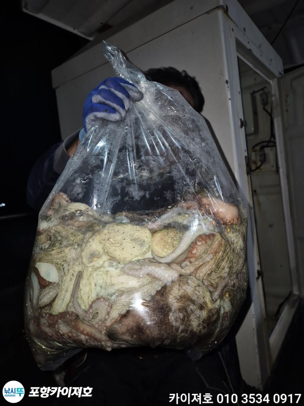 낚시뚜,기타 (직접입력),영일만항,포항카이져호,낚시뚜9