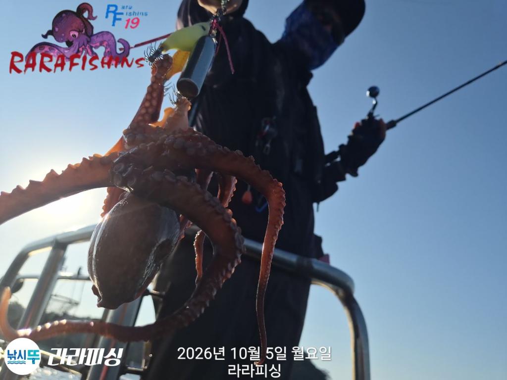 낚시뚜,돌문어,속천항(진해),라라피싱,낚시뚜5