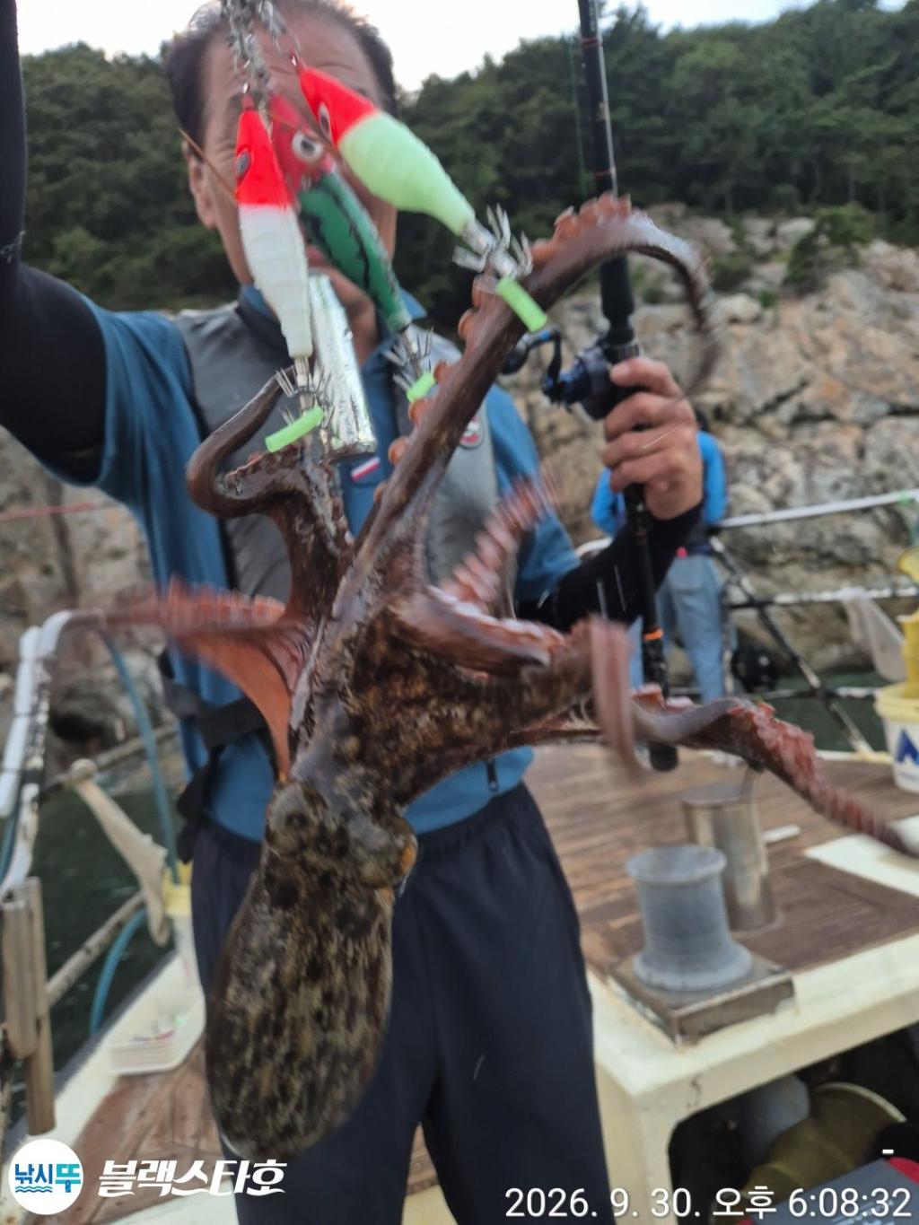 낚시뚜,돌문어,삼천포 팔포항,삼천포 블랙스타,낚시뚜13
